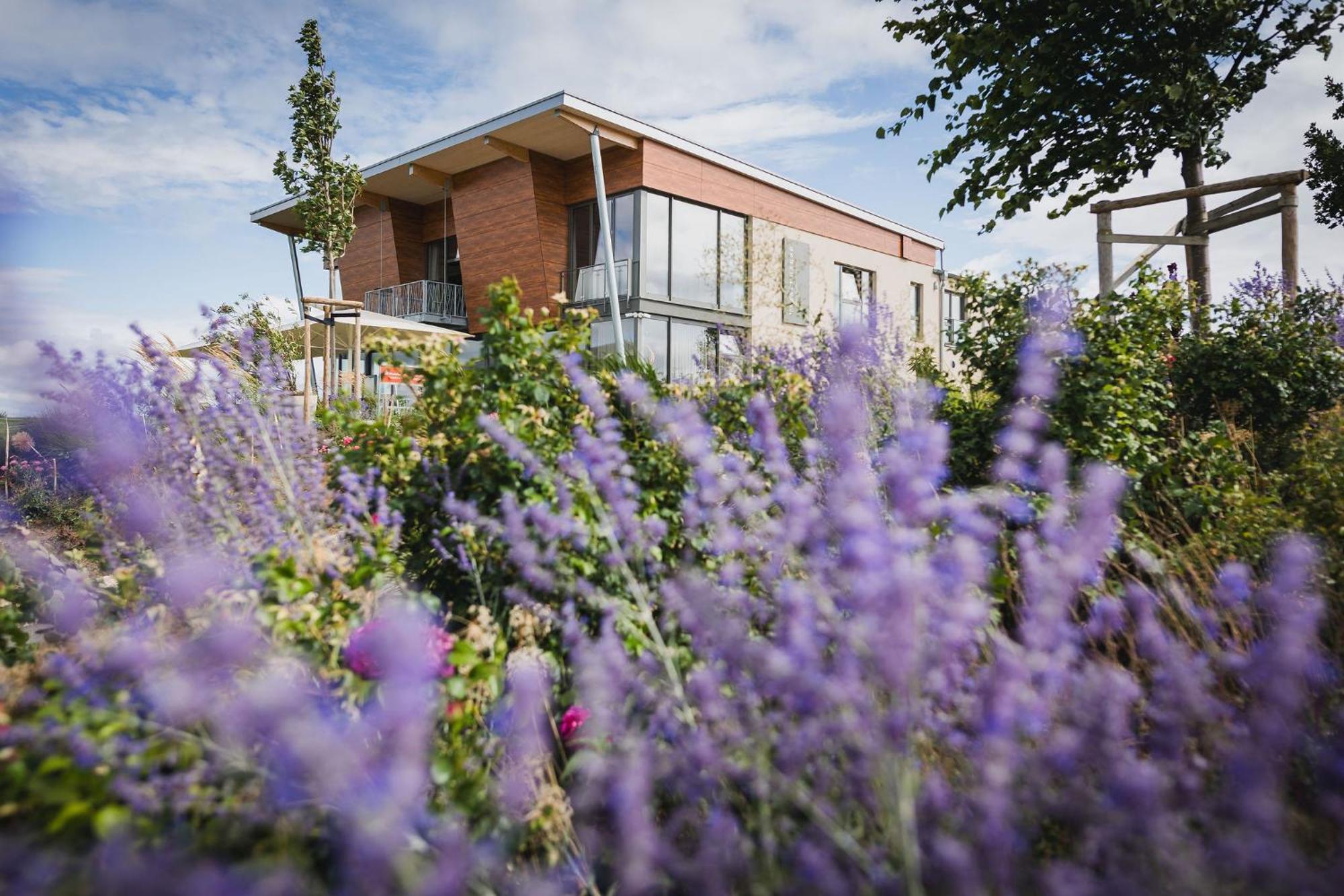Weinzuhause Hotel-Restaurant-Vinothek Mommenheim ภายนอก รูปภาพ