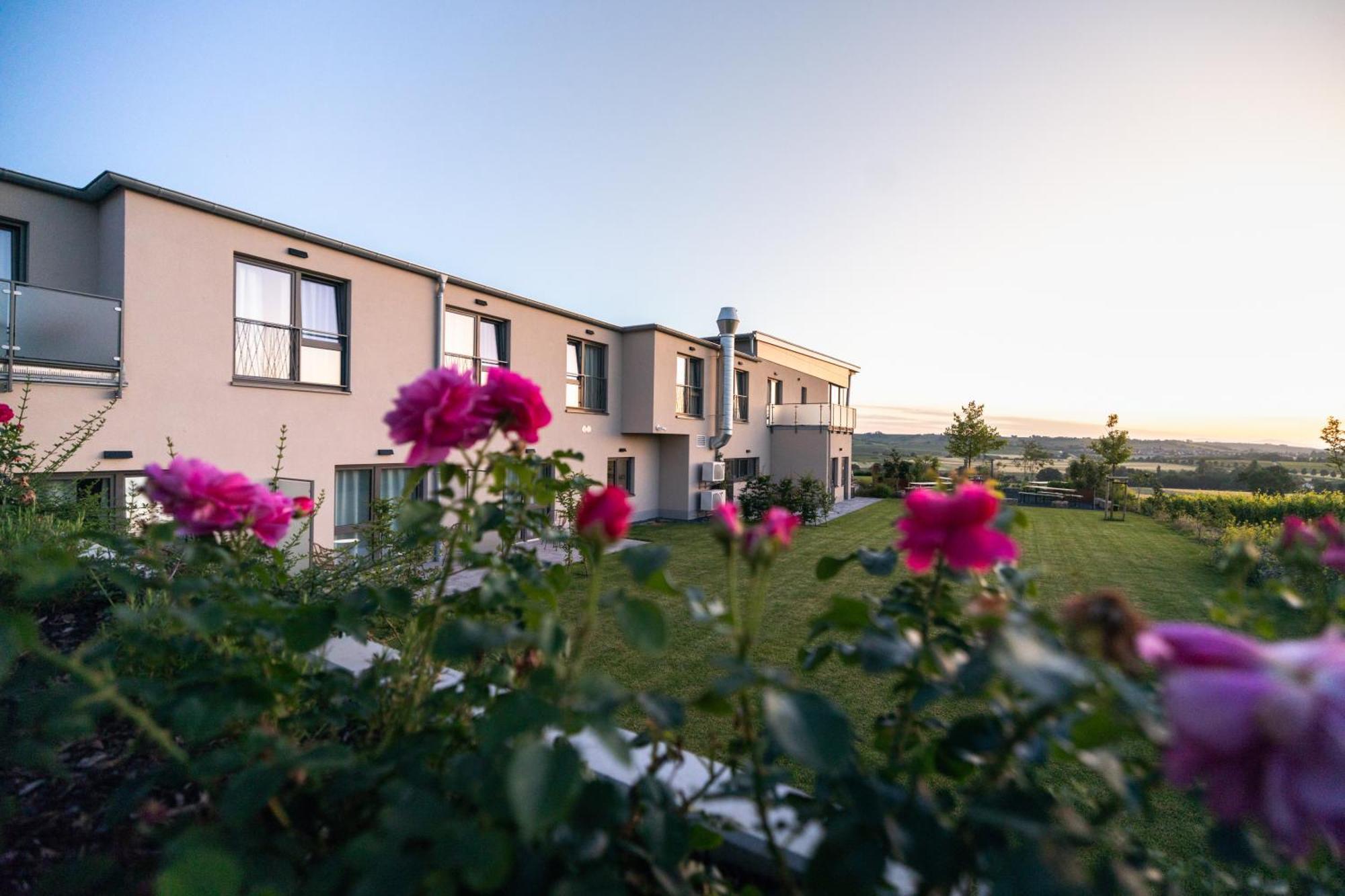 Weinzuhause Hotel-Restaurant-Vinothek Mommenheim ภายนอก รูปภาพ