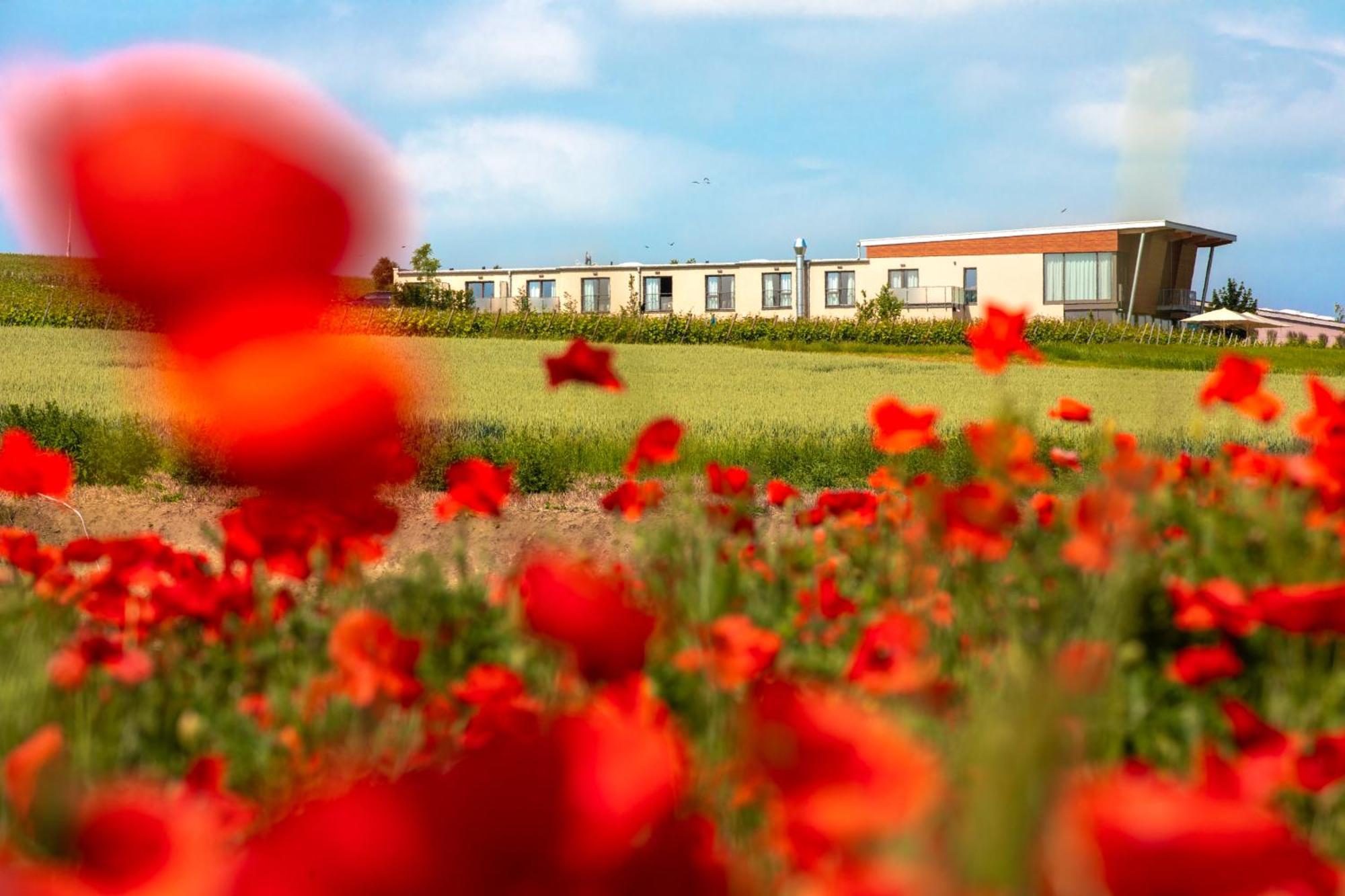 Weinzuhause Hotel-Restaurant-Vinothek Mommenheim ภายนอก รูปภาพ